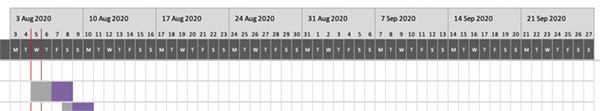 Gantt Chart dates and timings